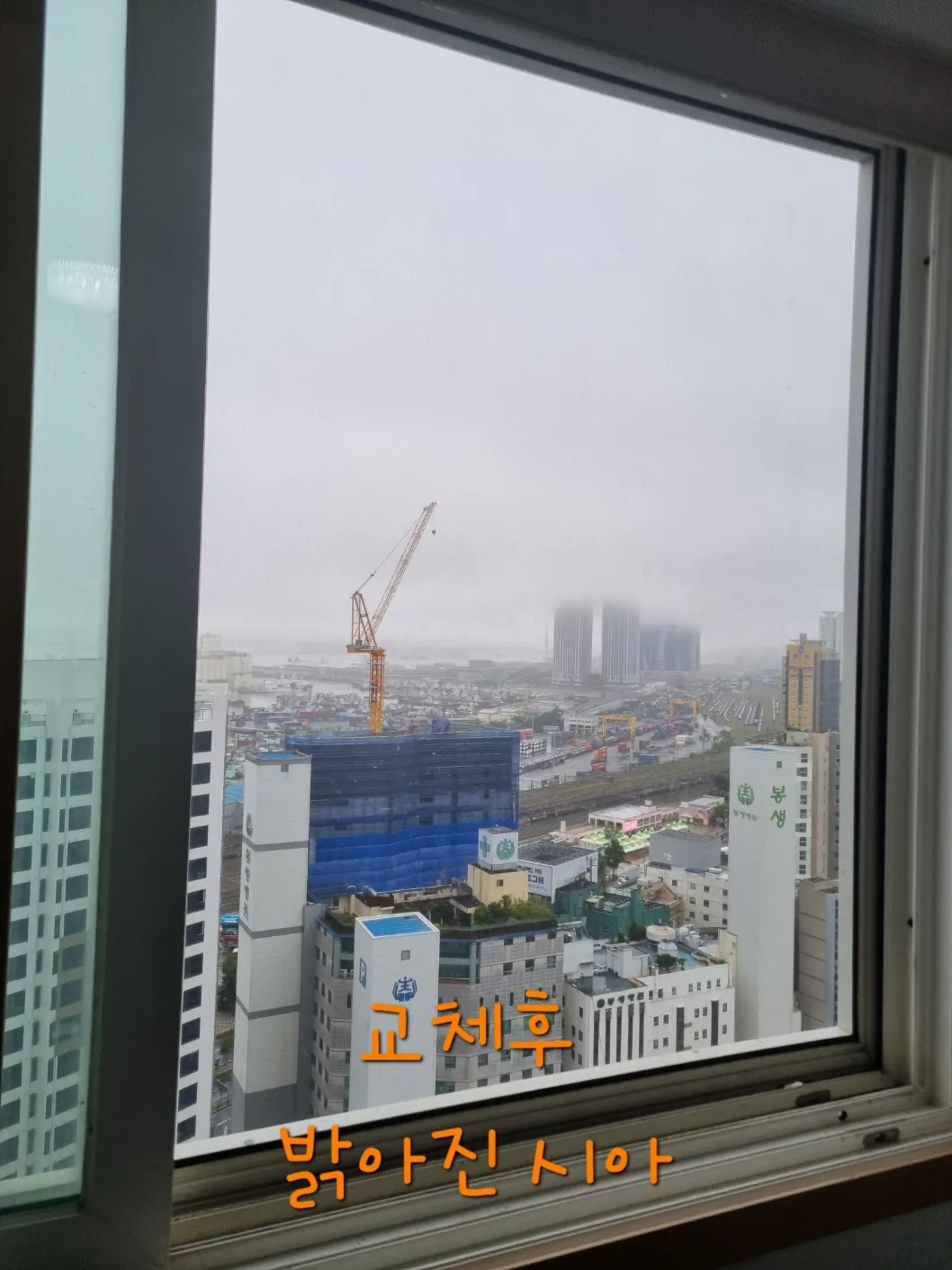 이미지 12