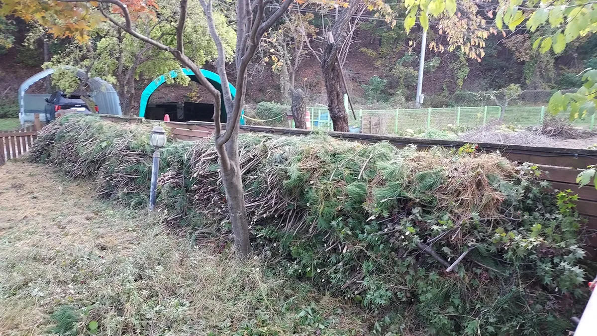 이미지 4