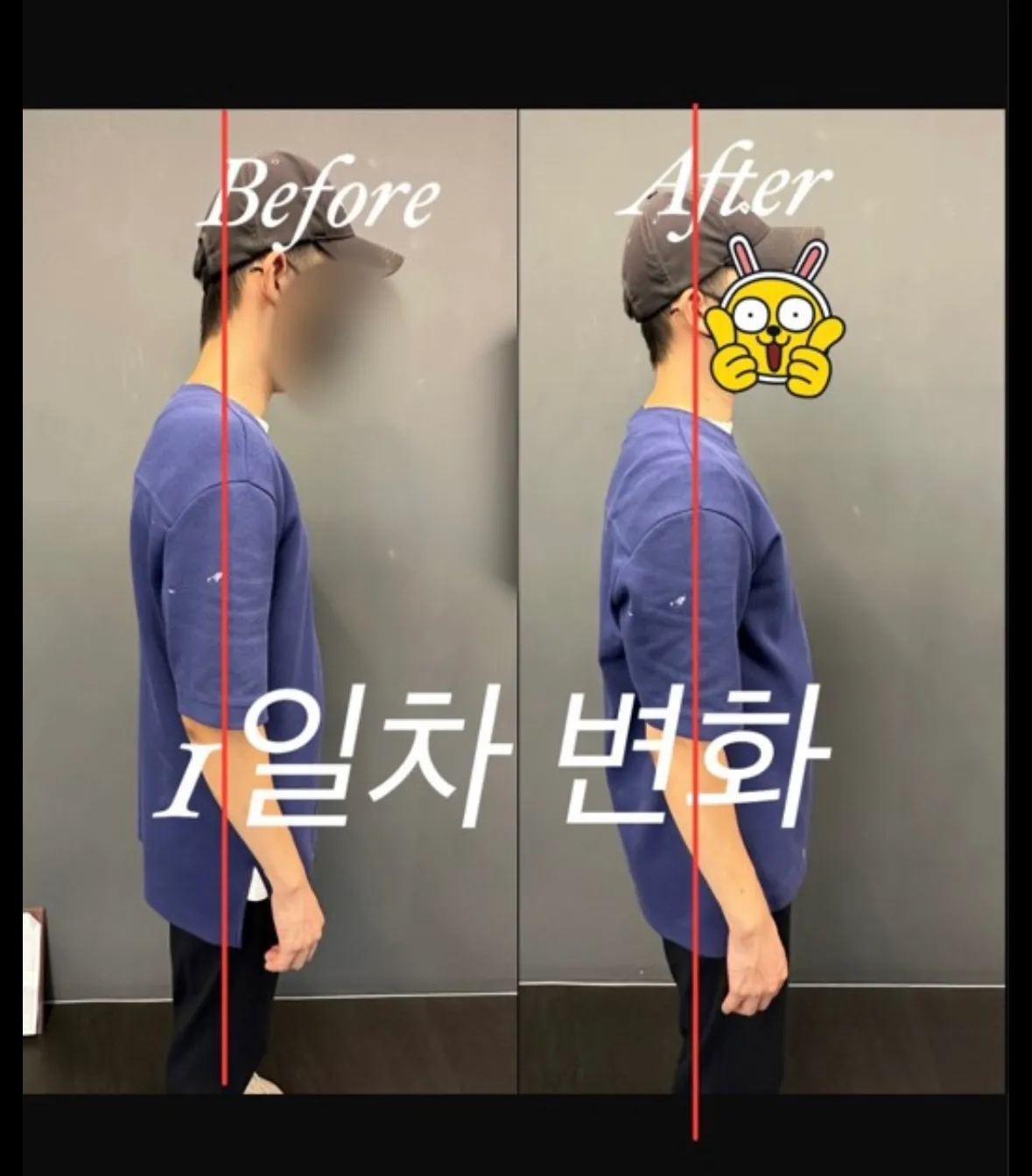 이미지 5
