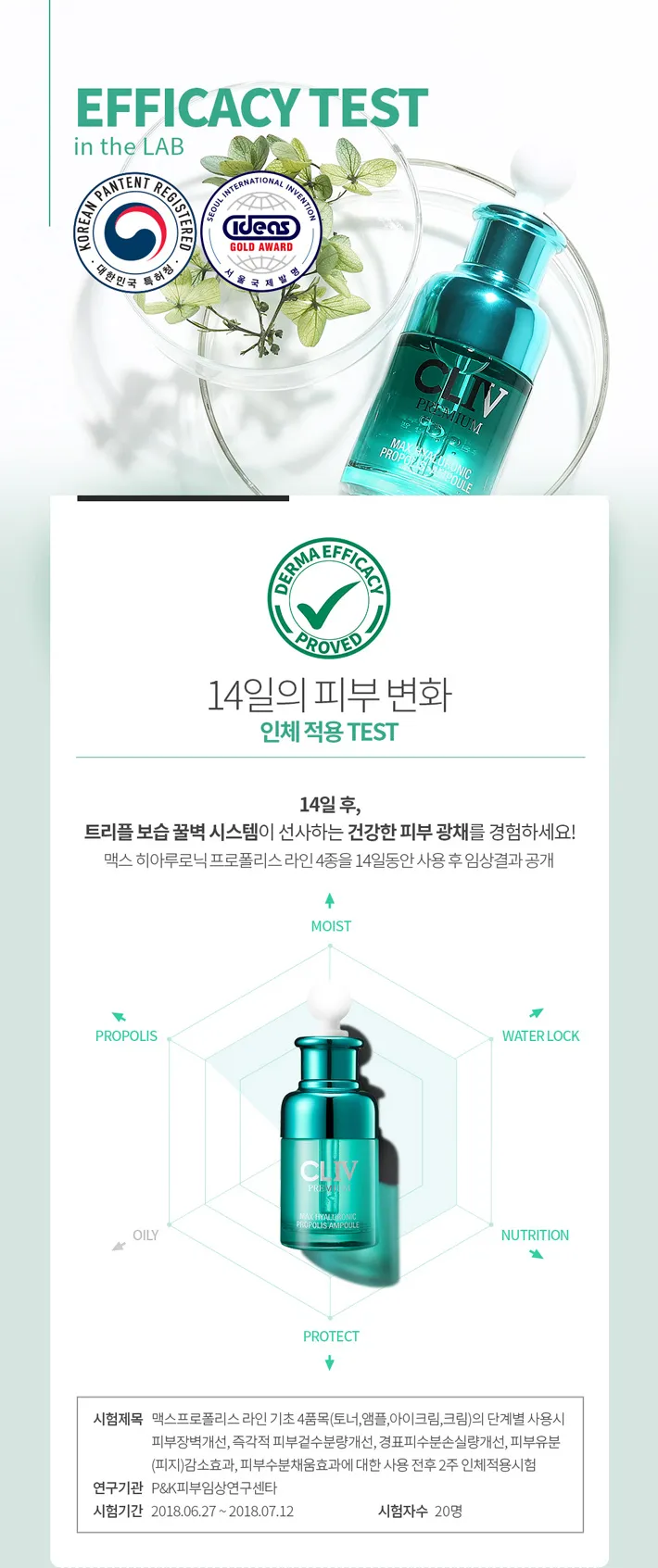 이미지 12