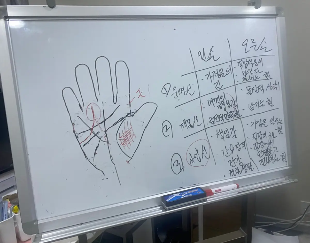 이미지 10