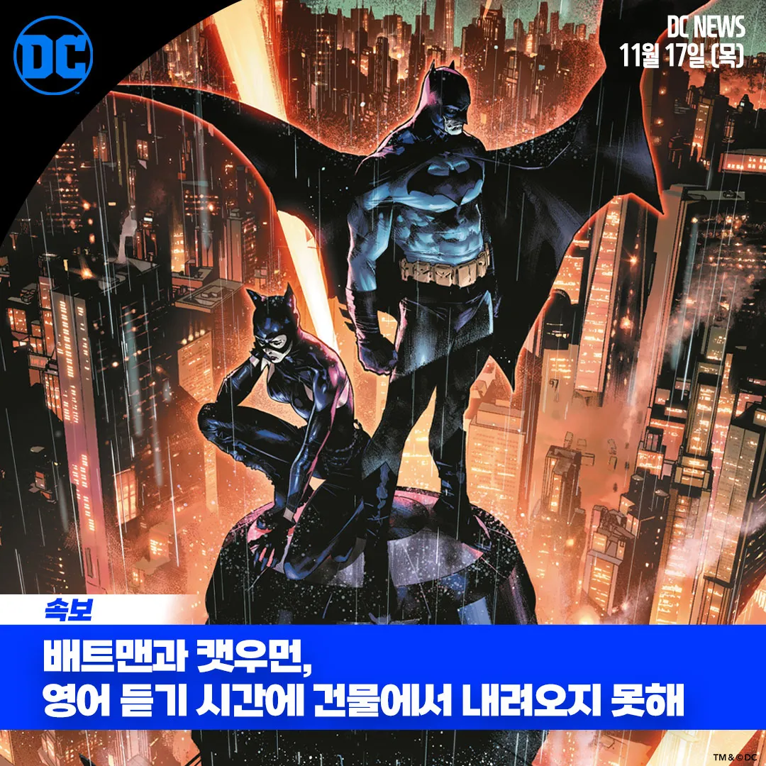 이미지 5