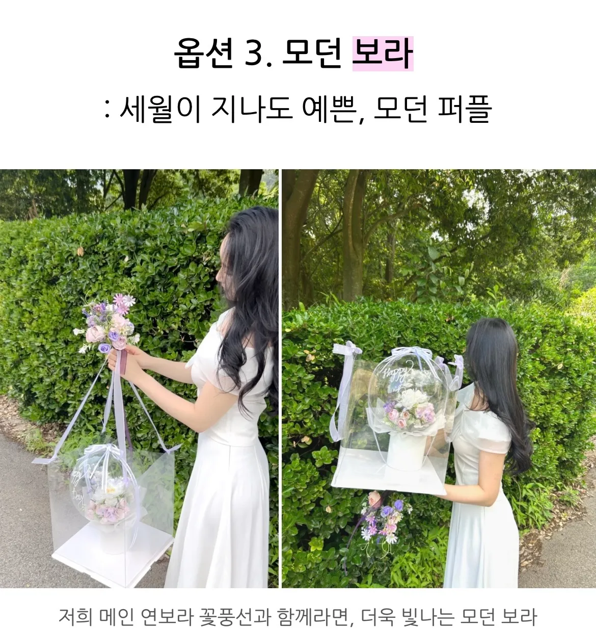 이미지 5