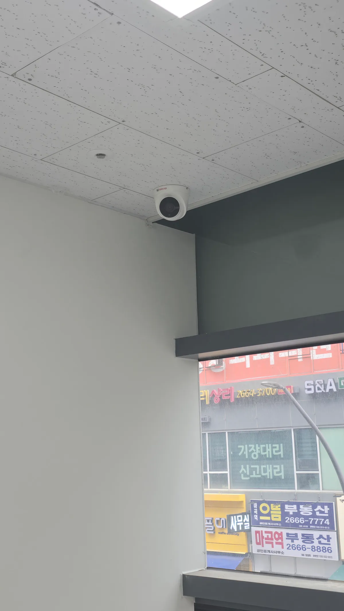 이미지 8