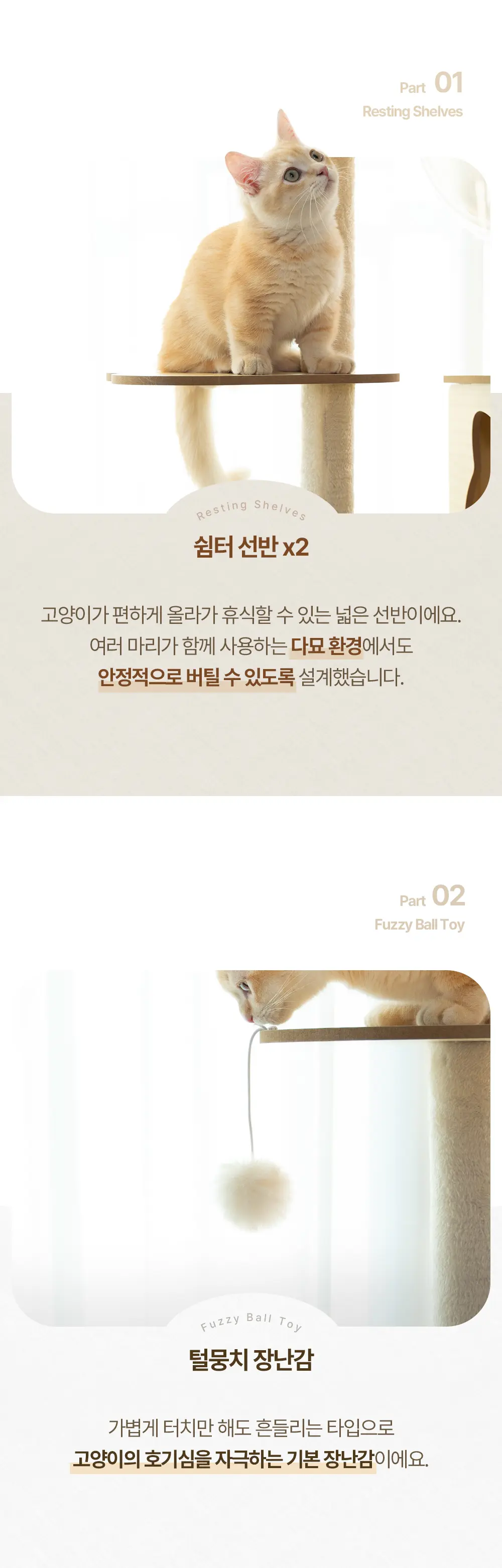 이미지 10