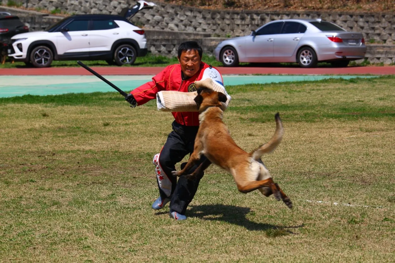 이미지 8
