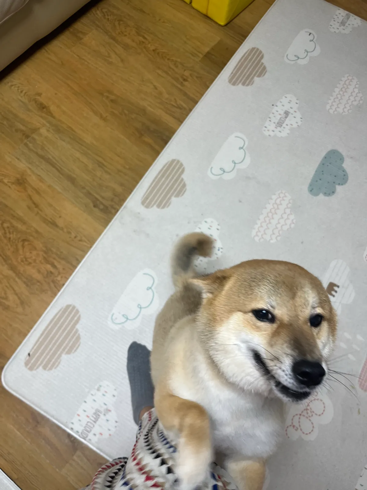 이미지 6