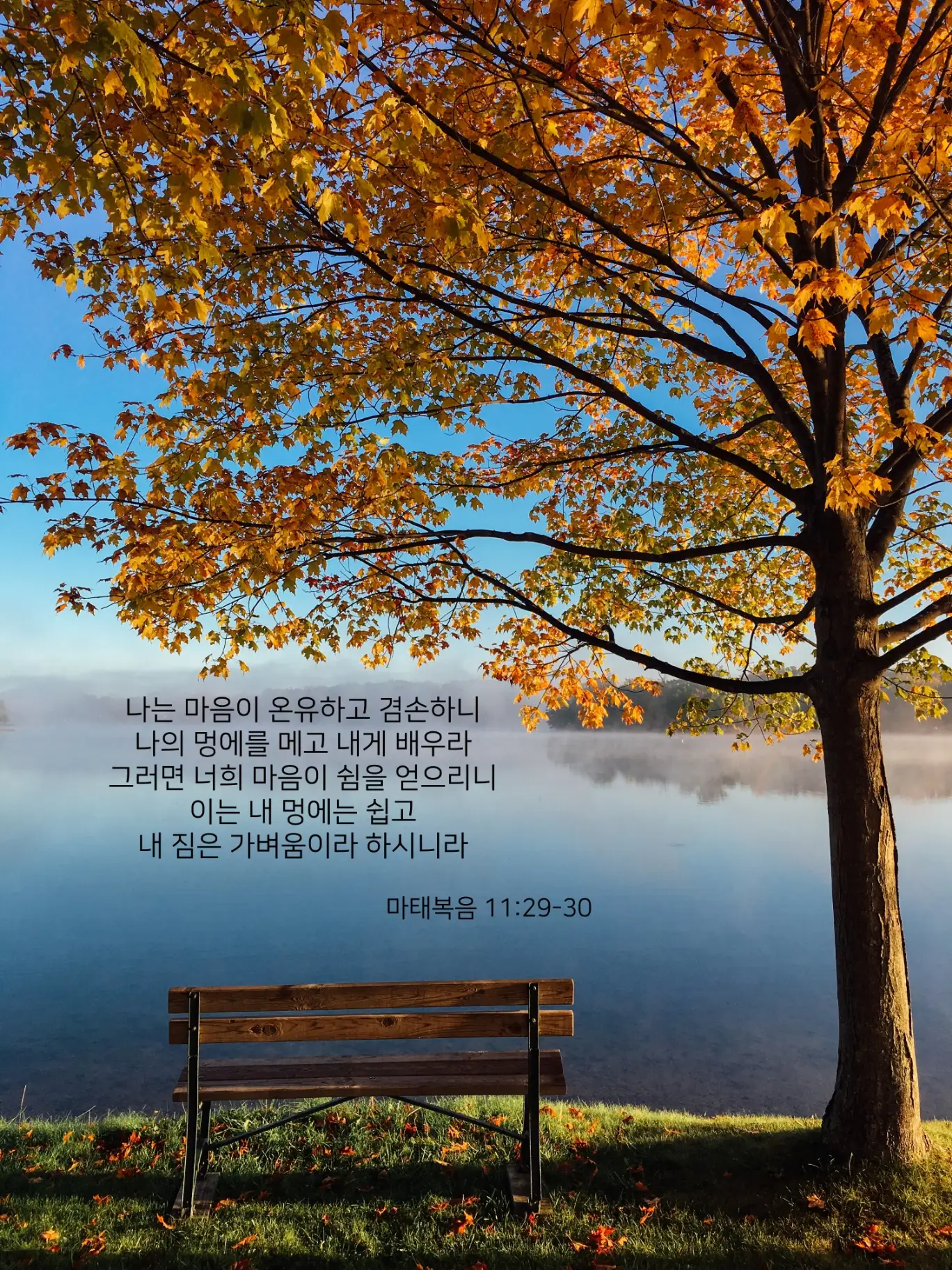이미지 7