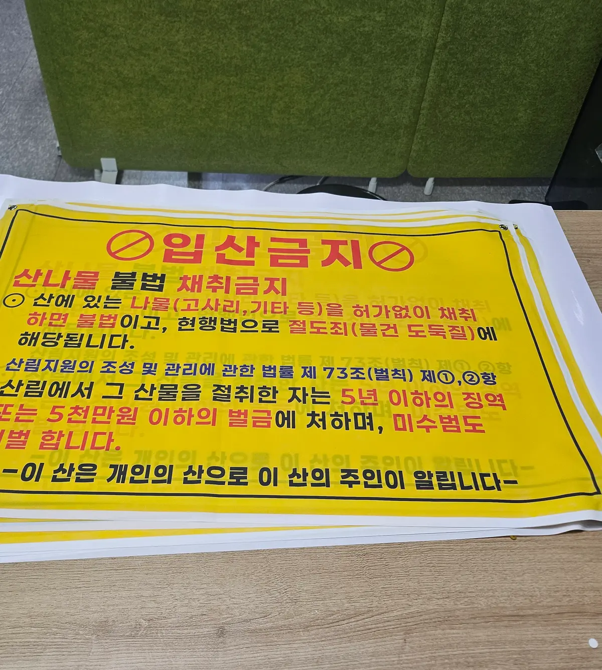 이미지 8