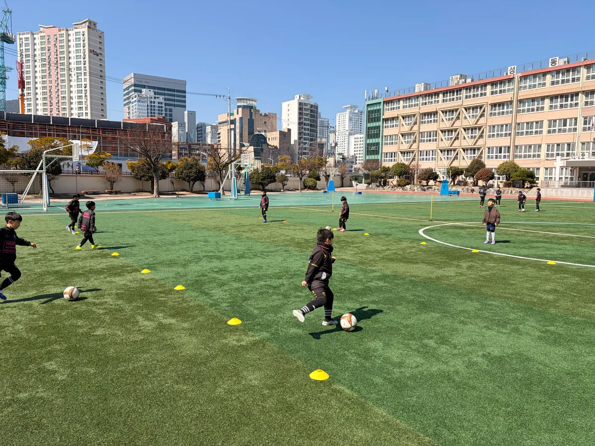 이미지 4