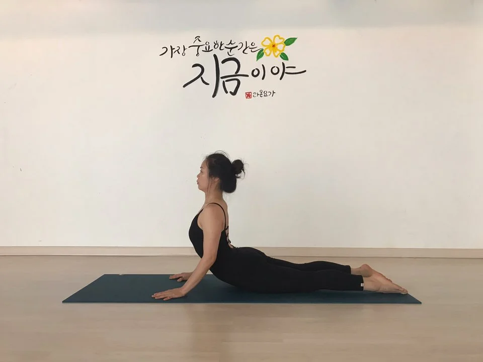 이미지 5