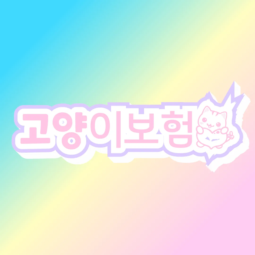 이미지 5