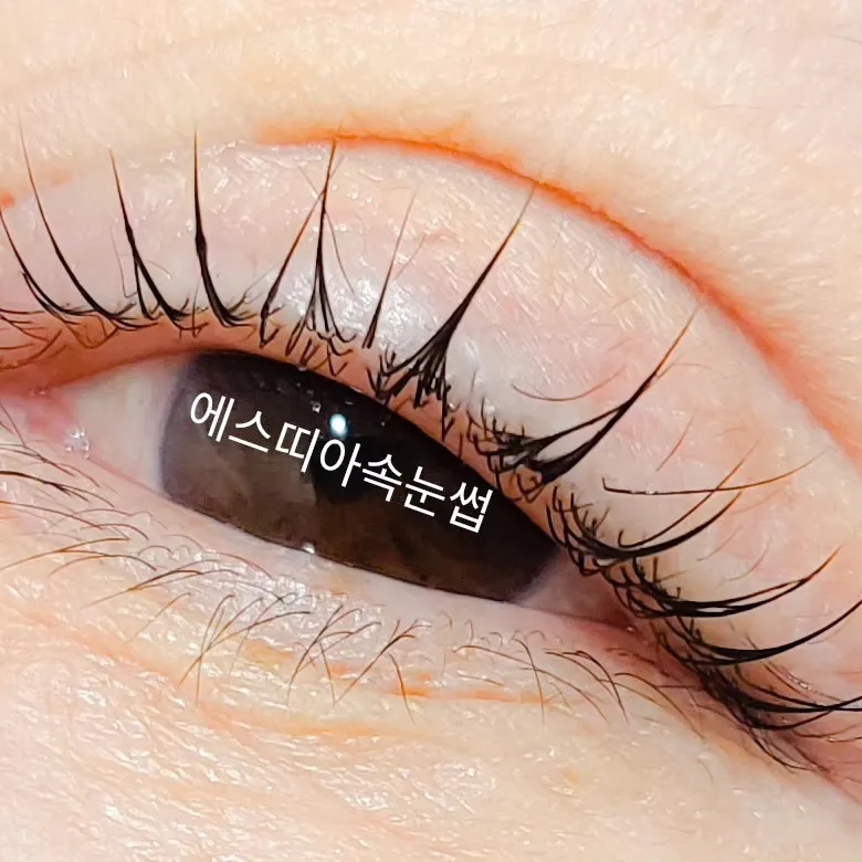 이미지 4
