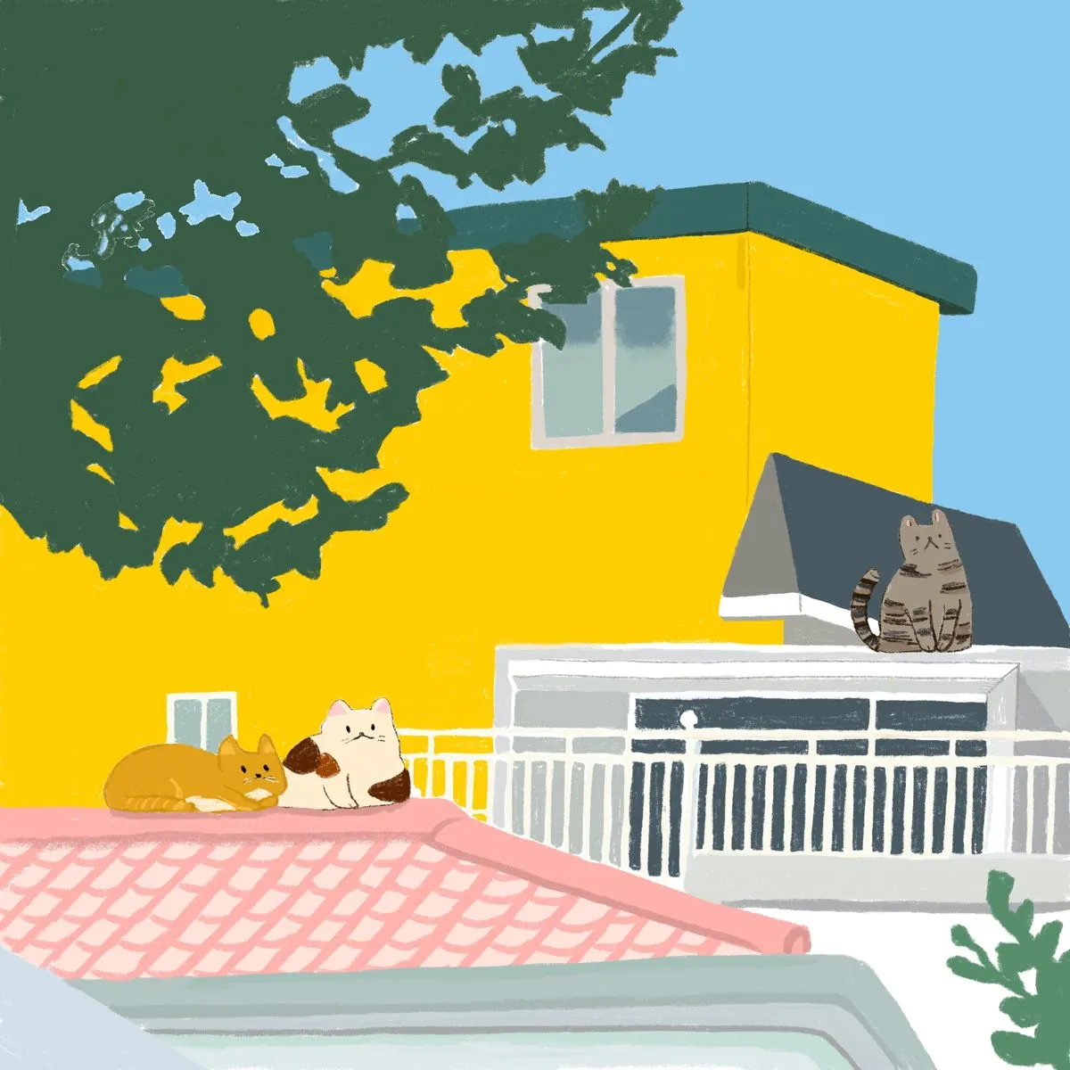 포트폴리오 이미지