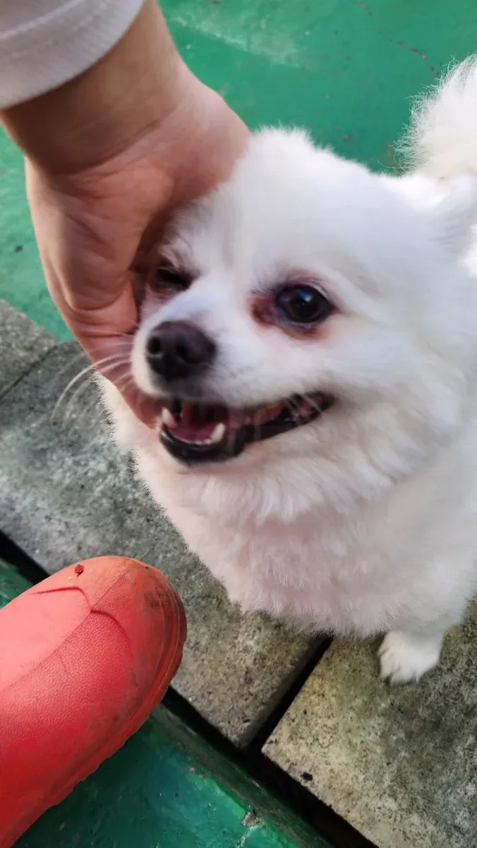 이미지 5