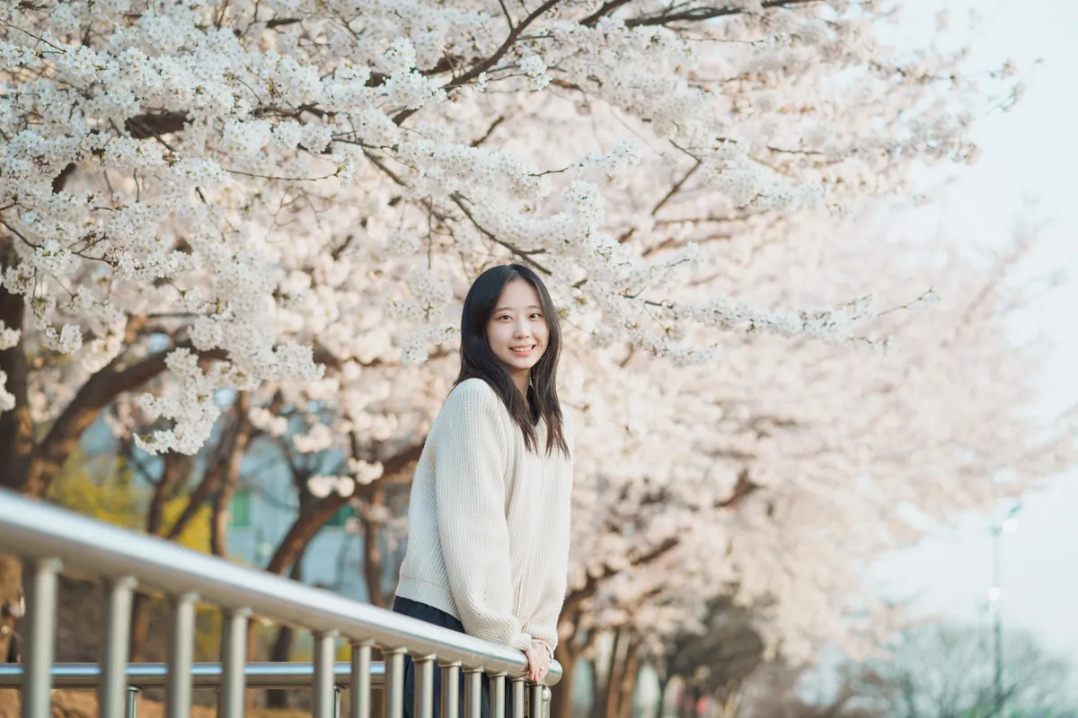 이미지 6