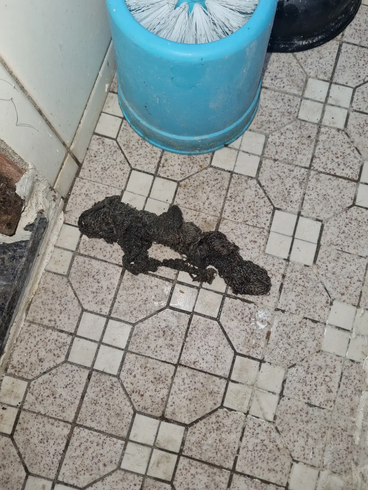 이미지 8
