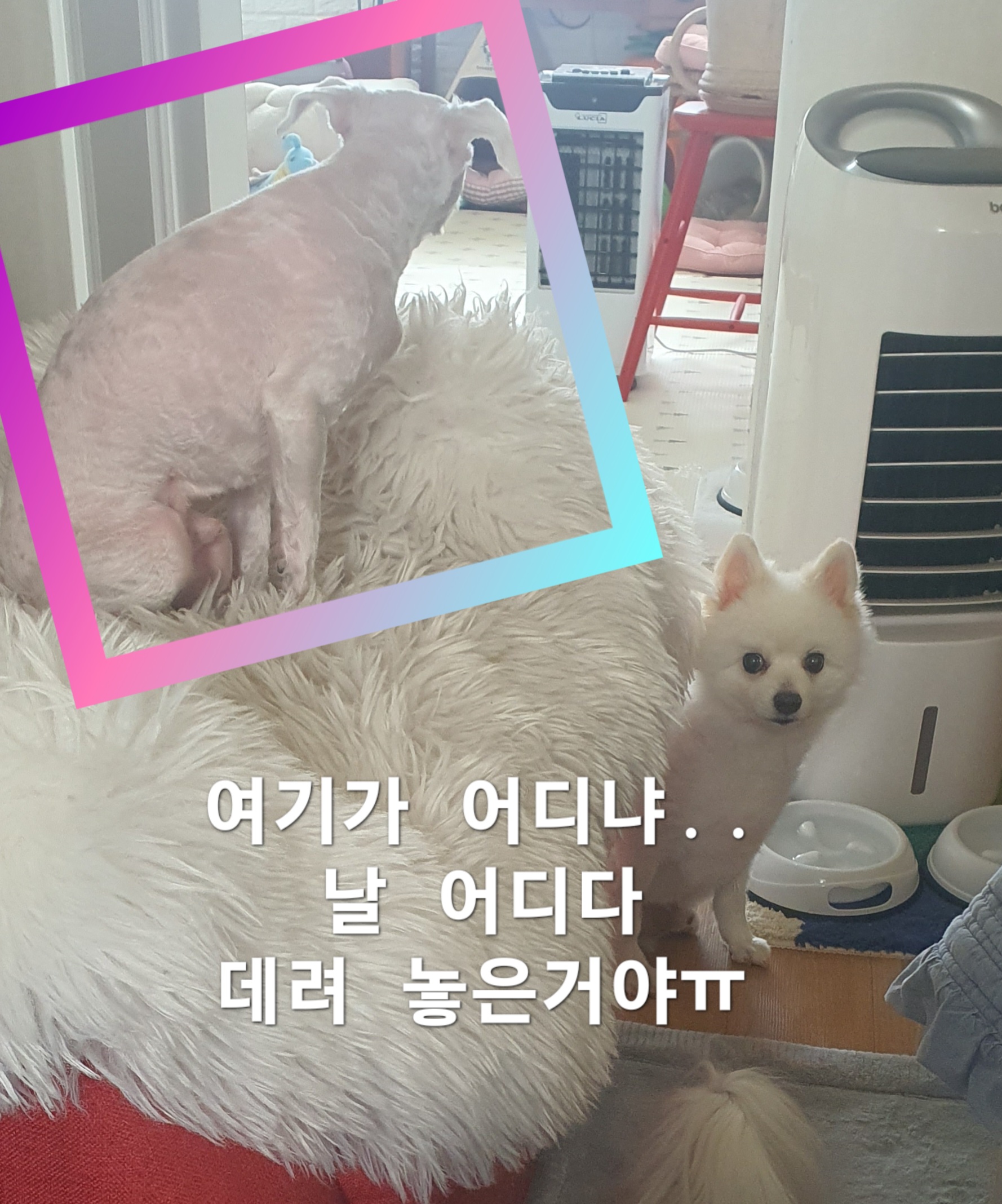 케어하는 일. 행복해요!
