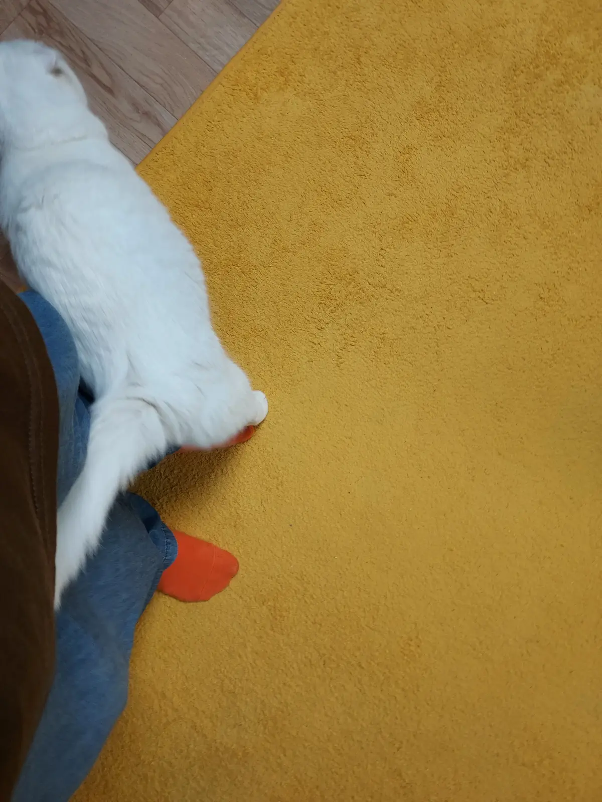 이미지 9