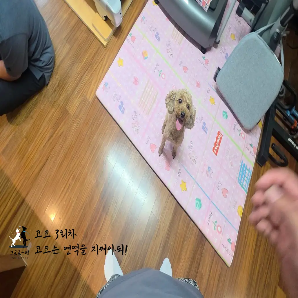 이미지 4