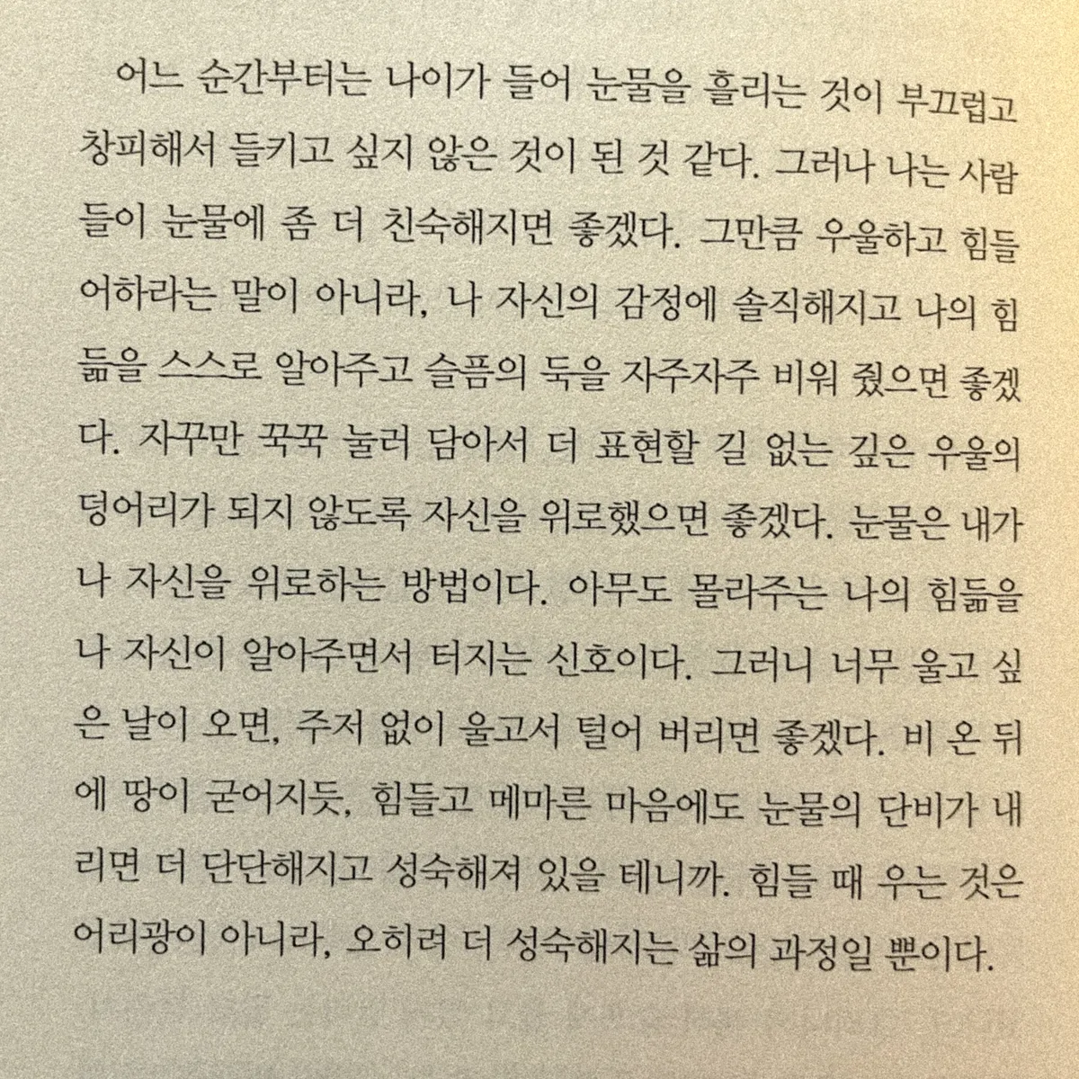 이미지 6