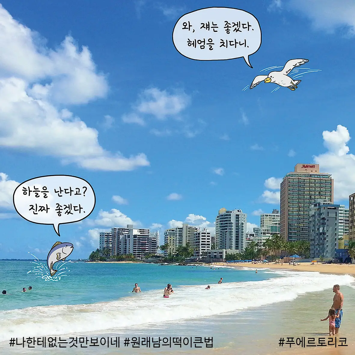 이미지 5
