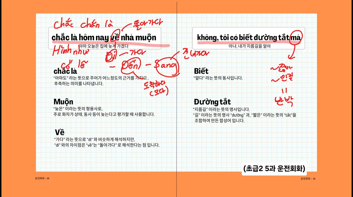 이미지 11