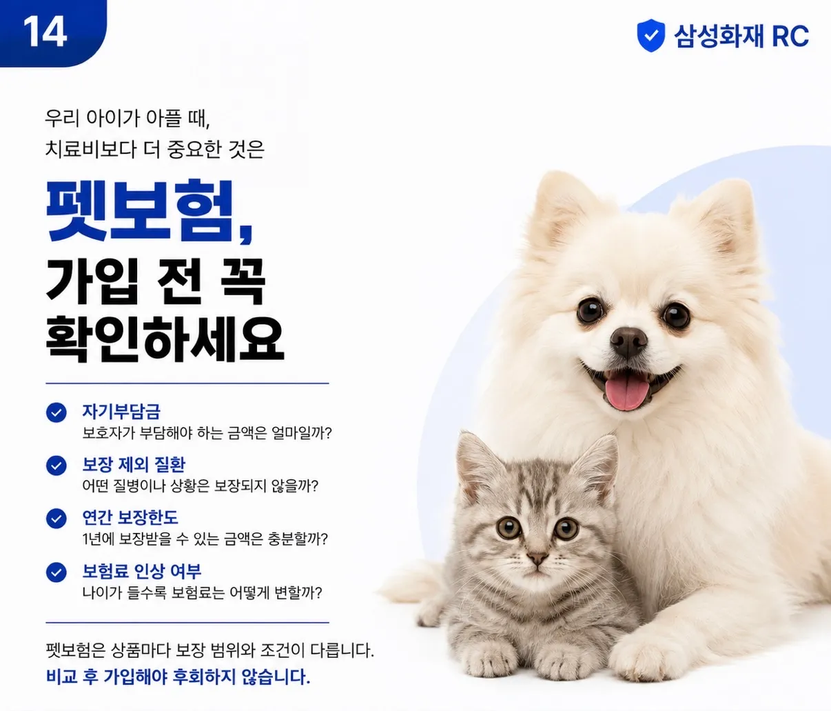 이미지 20