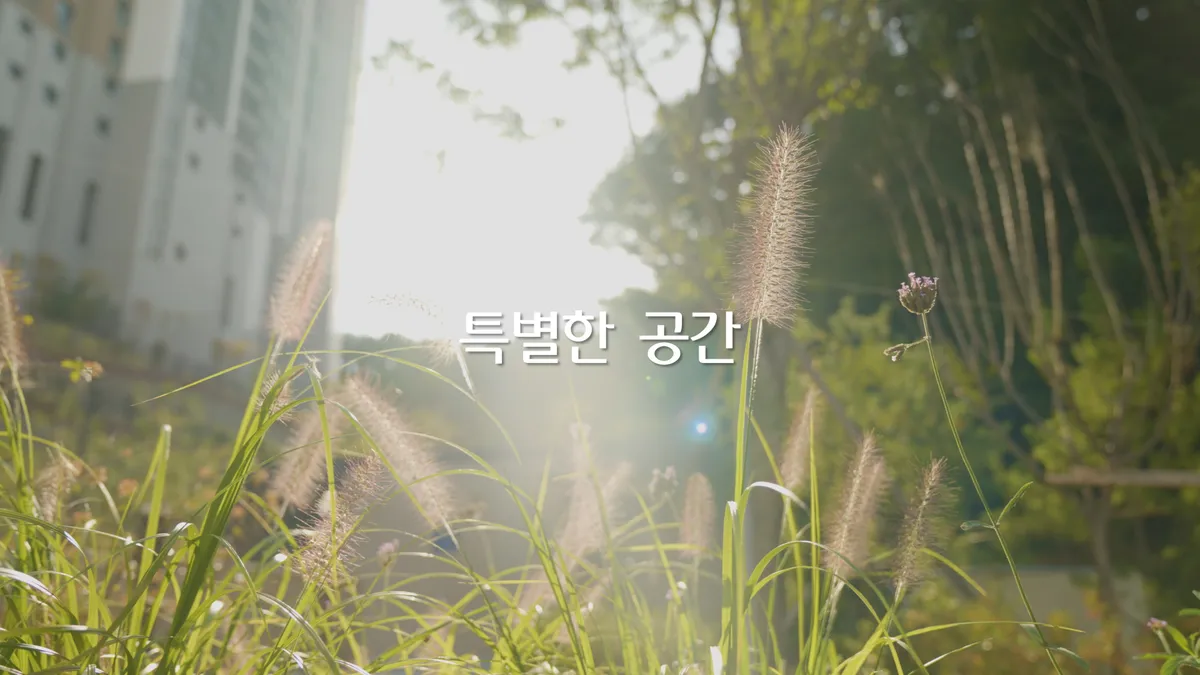 이미지 5