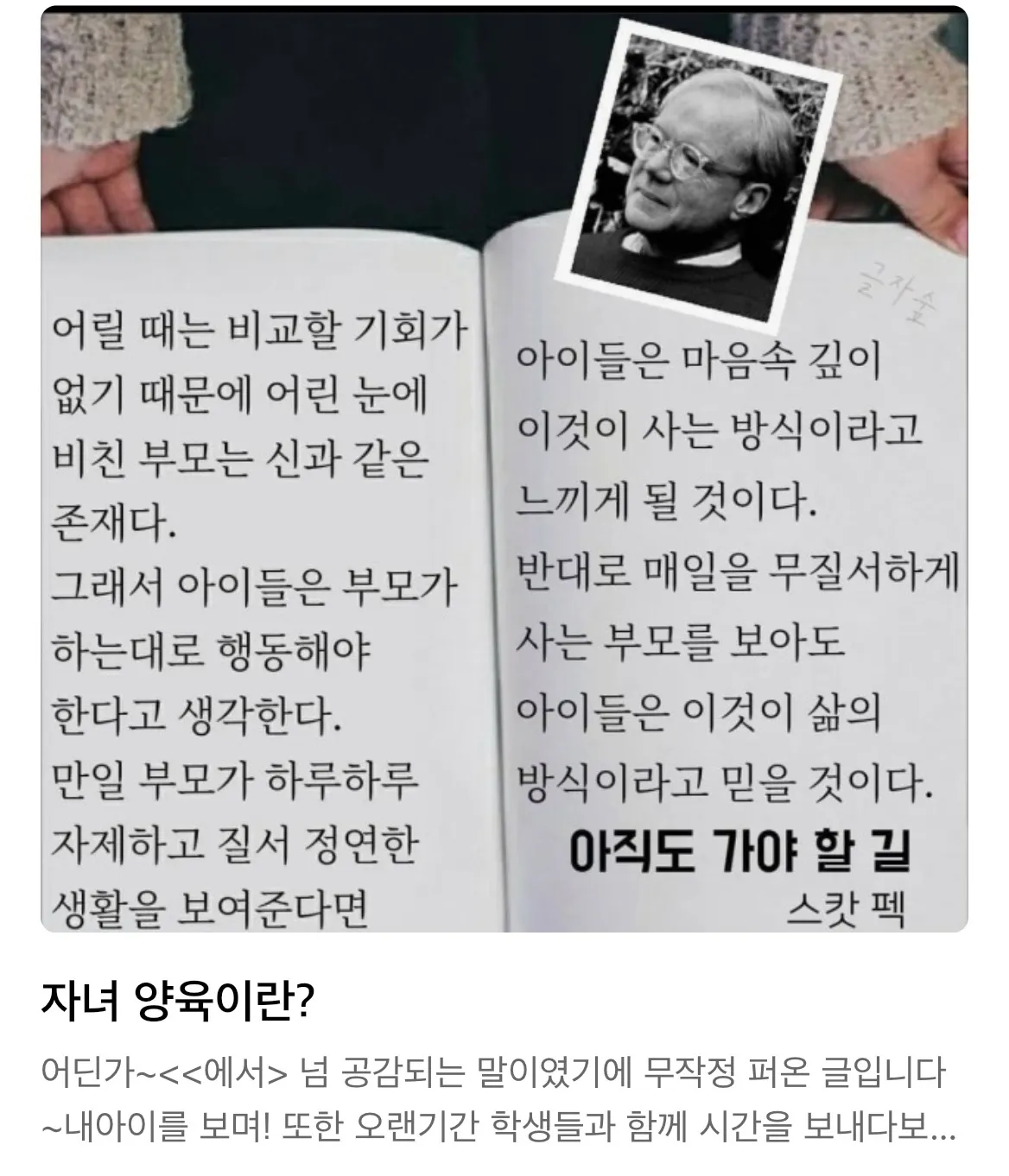 이미지 7