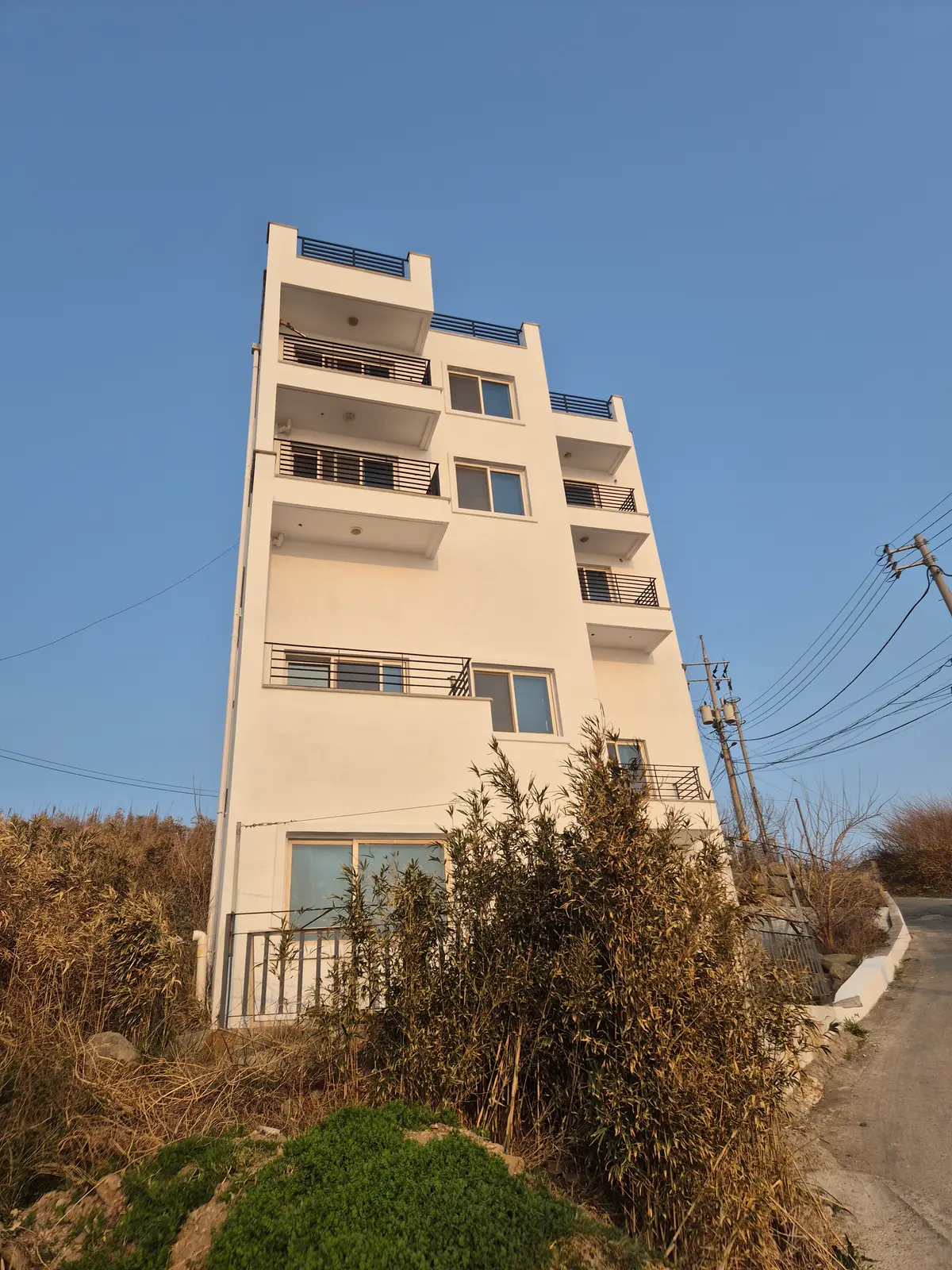 이미지 8