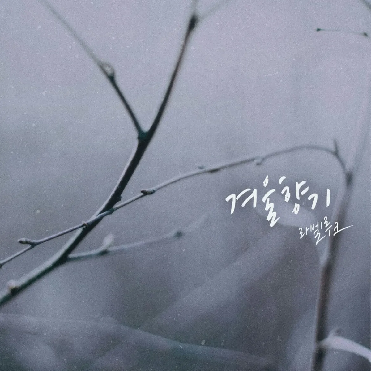 이미지 6