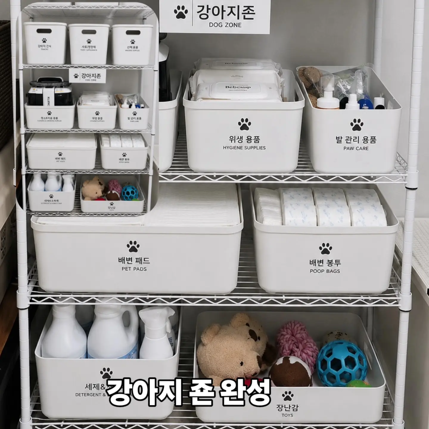 이미지 12