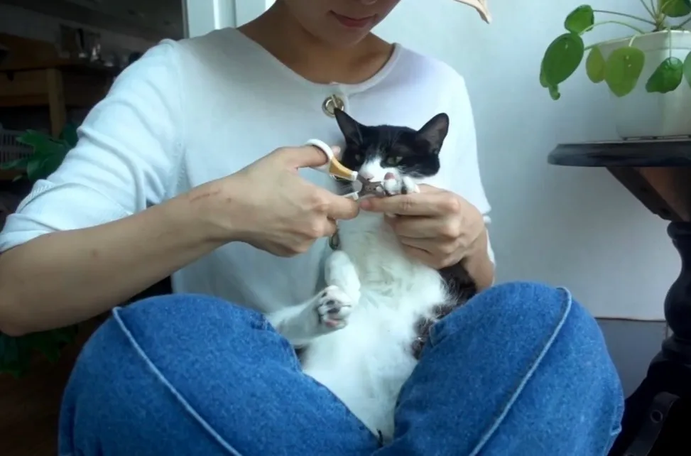 이미지 2