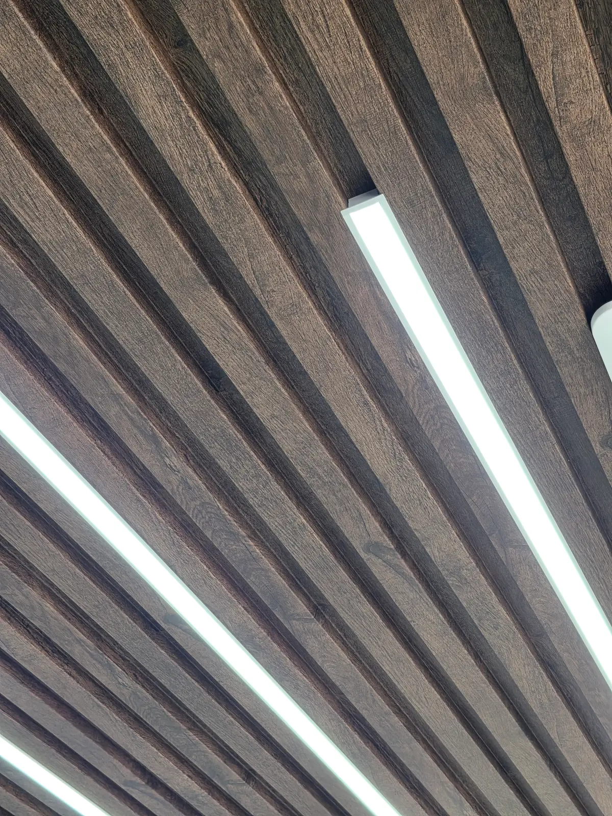 이미지 5