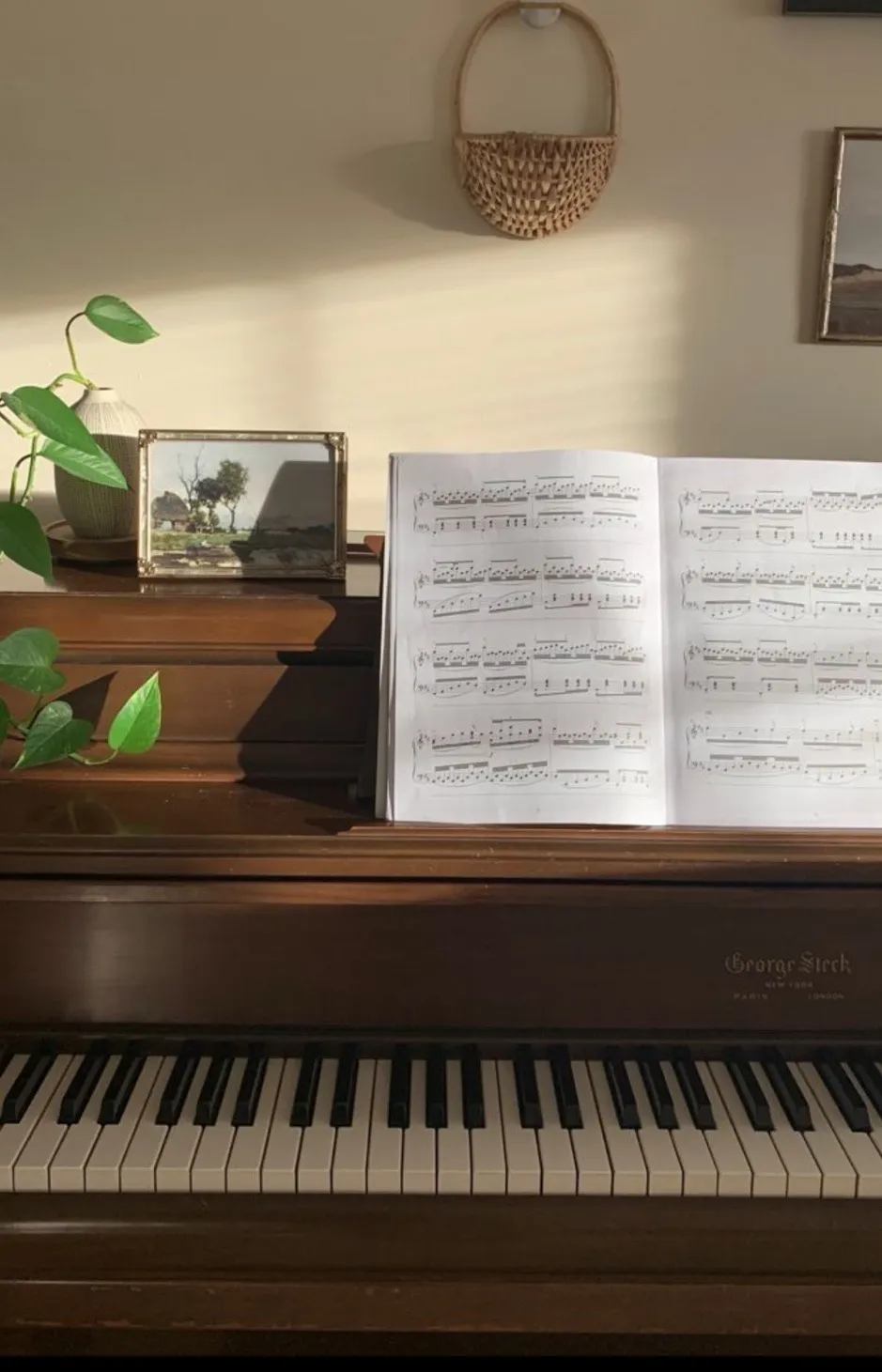 포트폴리오 이미지