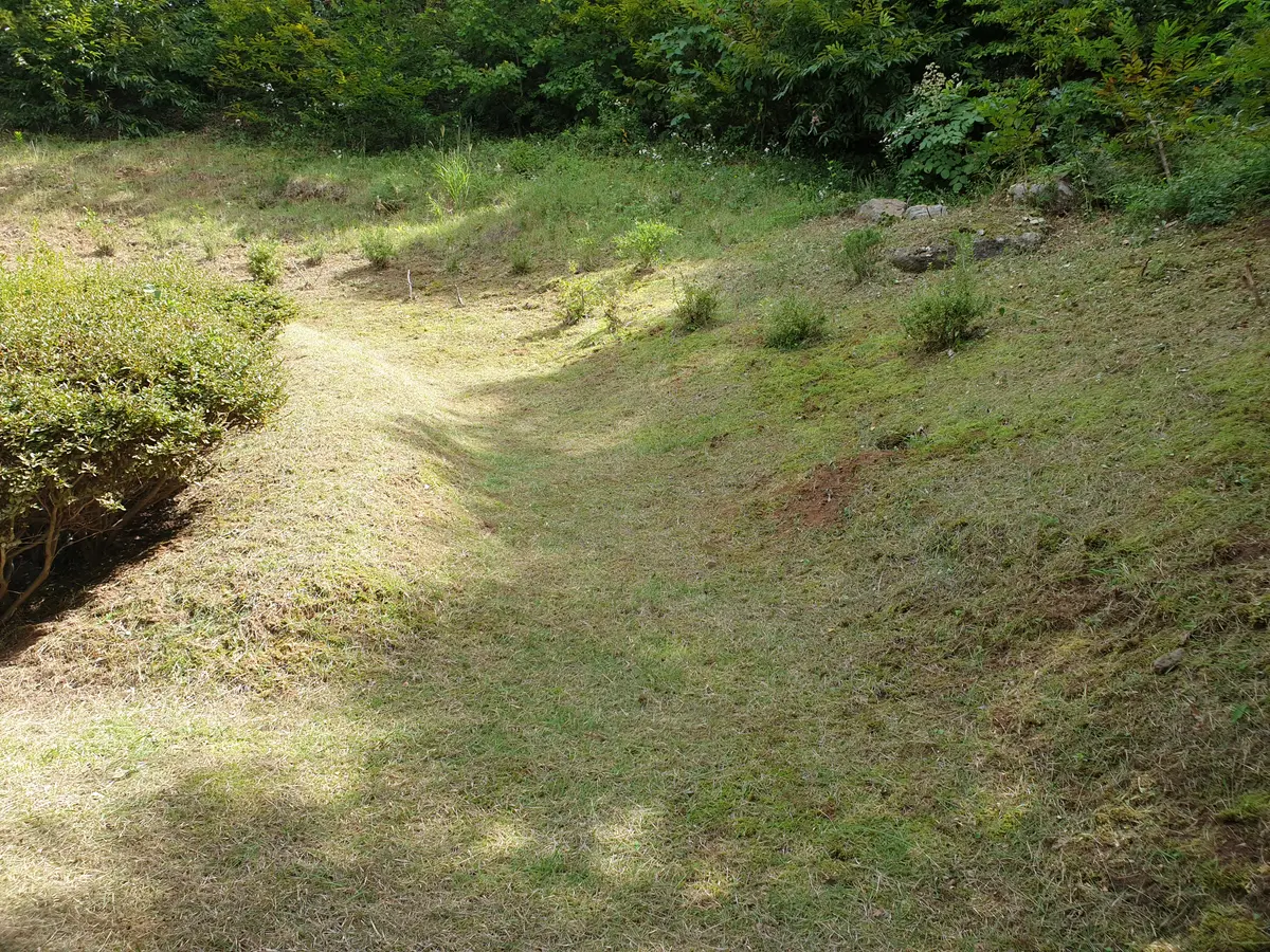 이미지 14