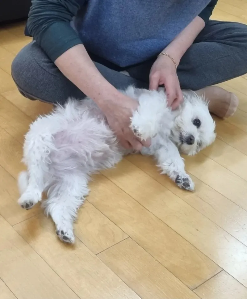 이미지 11