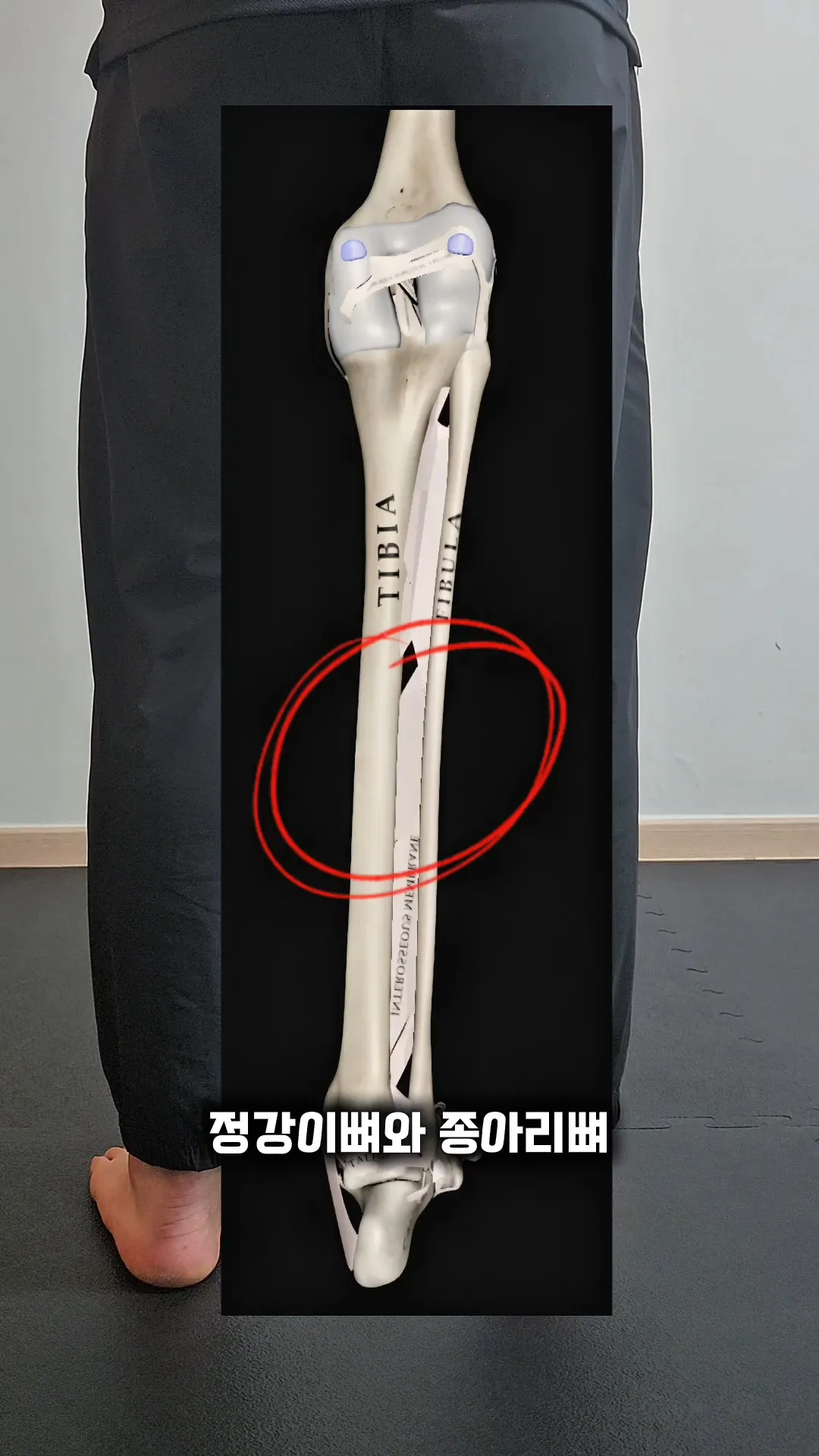 이미지 5
