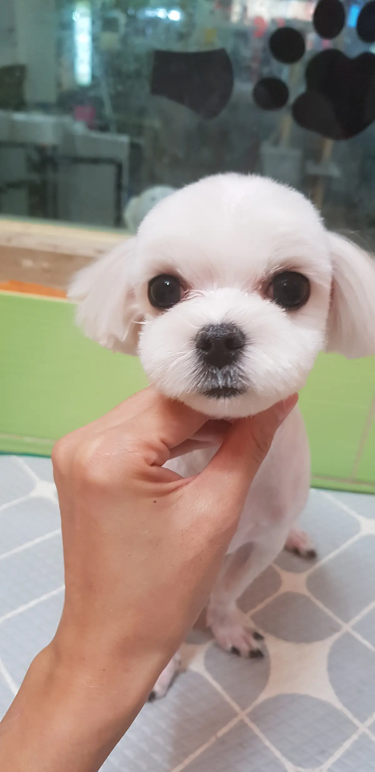 이미지 10