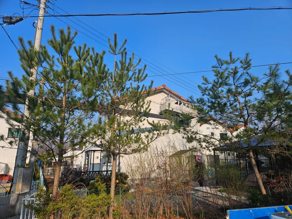 이미지 8