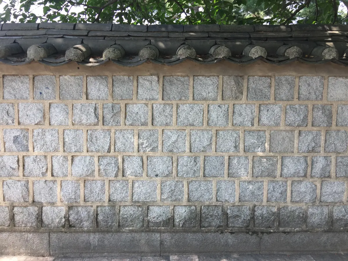 이미지 5