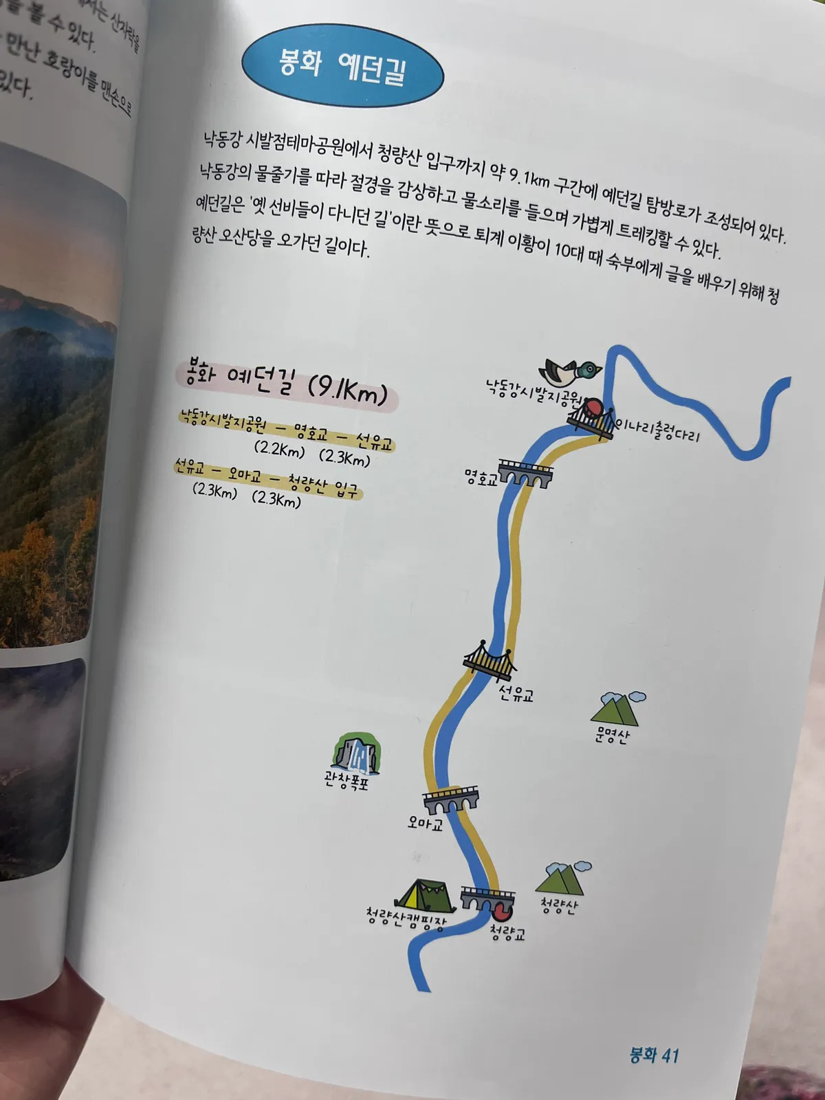 이미지 5