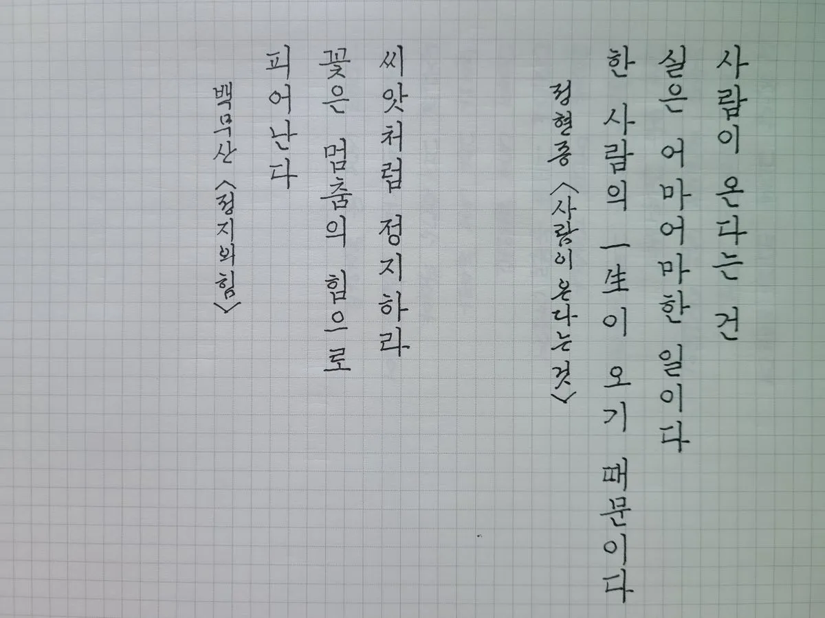 이미지 7