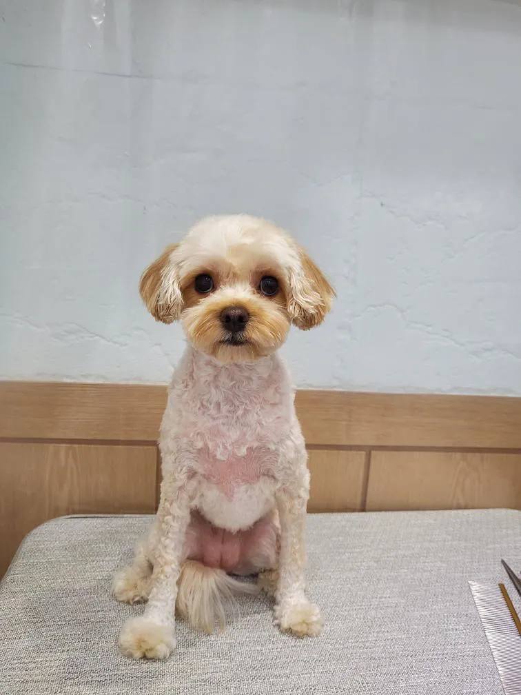 이미지 9