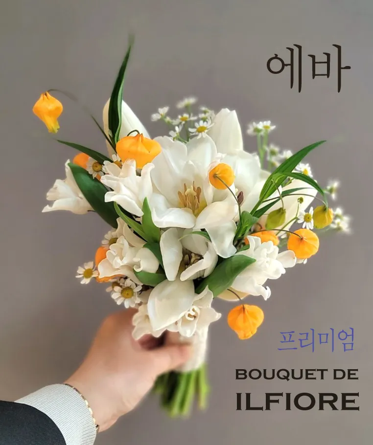 이미지 6