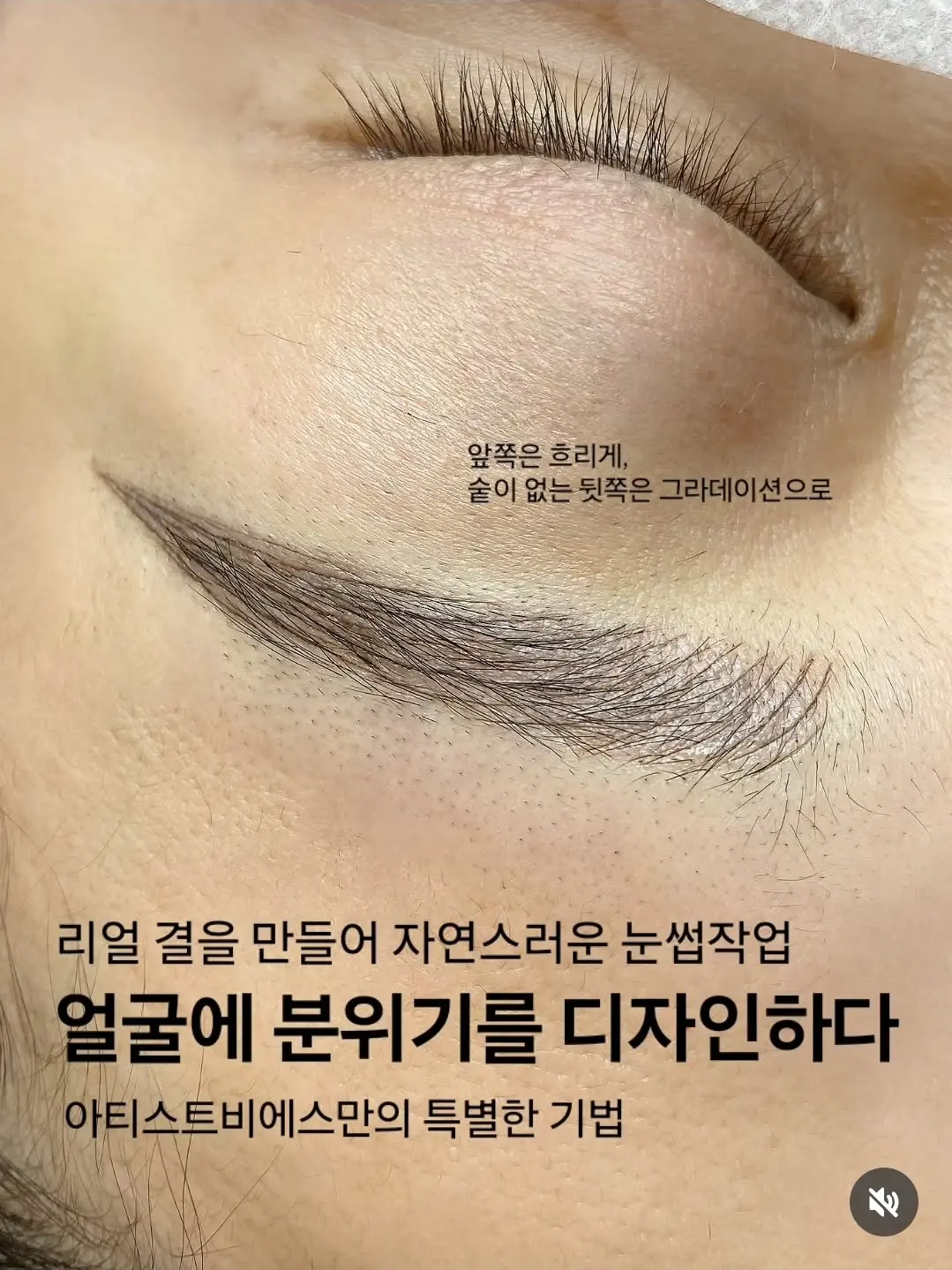 이미지 14