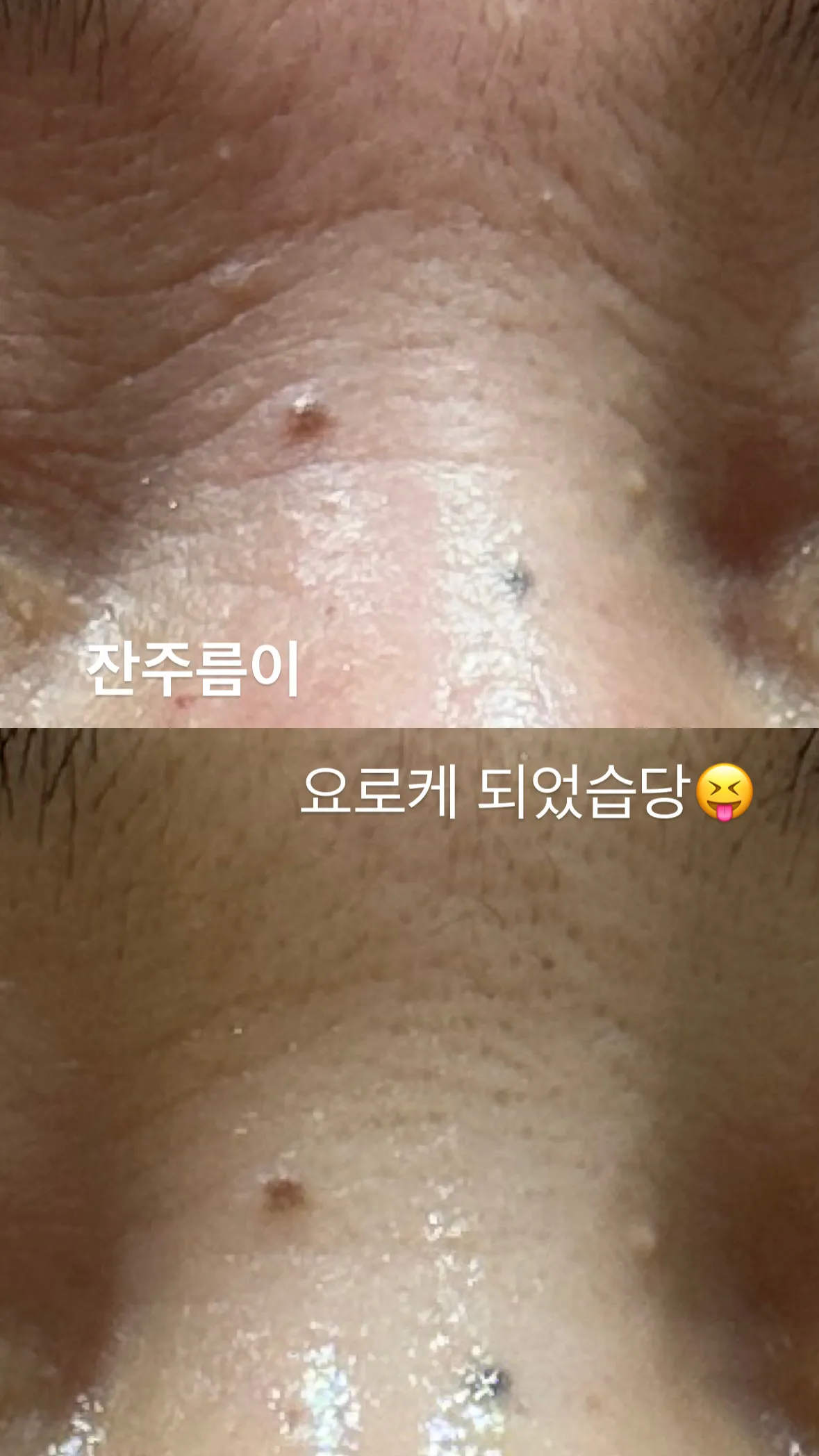 이미지 4