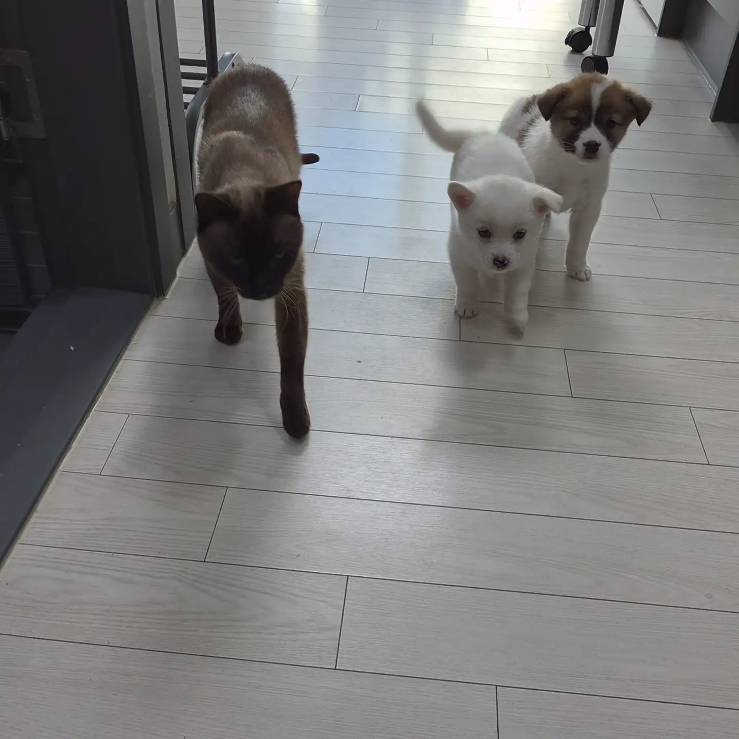 이미지 24