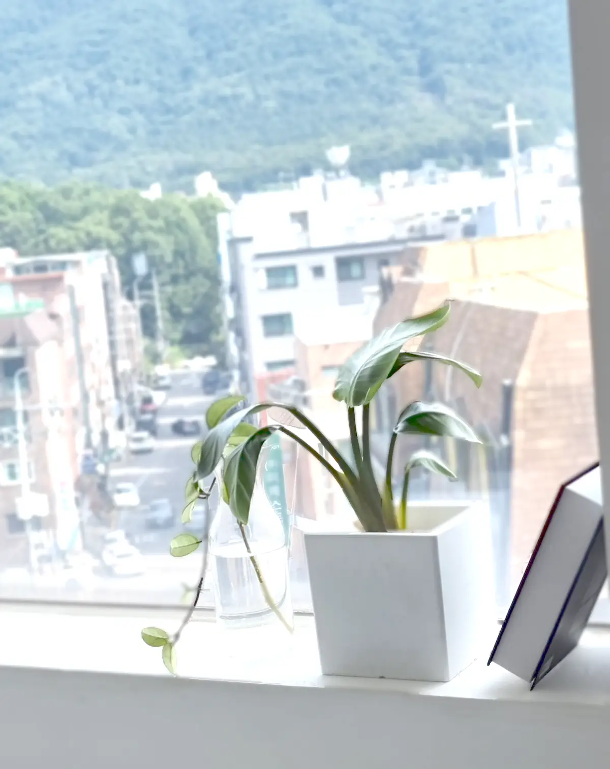 이미지 10